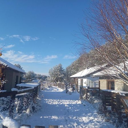 Chatki U Patki Lebieniec ภายนอก รูปภาพ